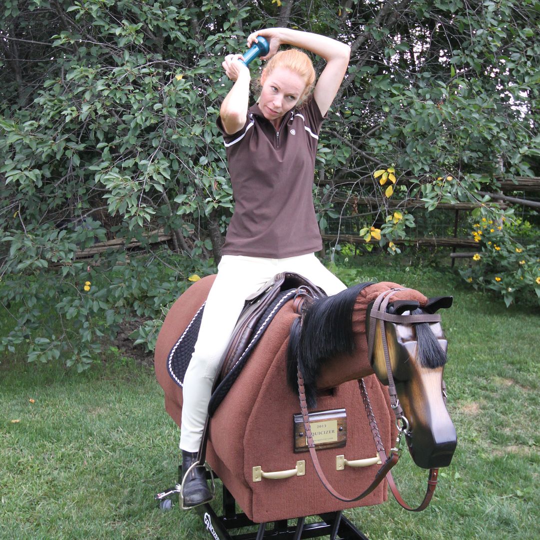 Equicizer Equestrian Exercises